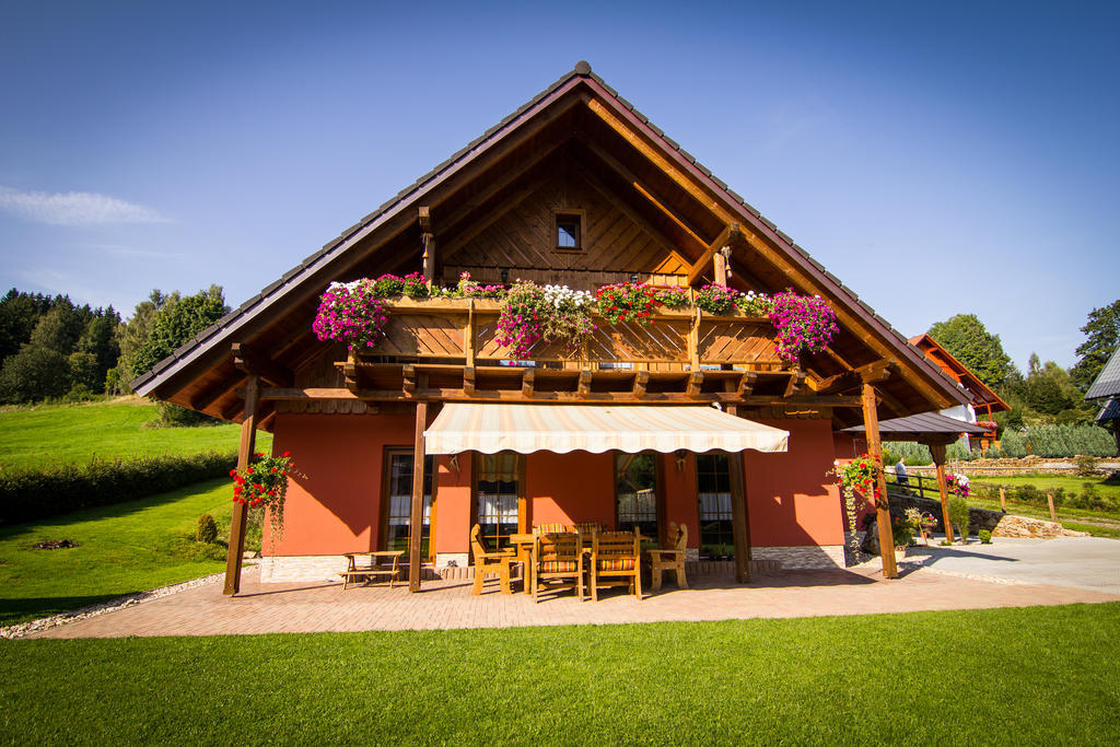 Penzion Major Rokytnice nad Jizerou Buitenkant foto